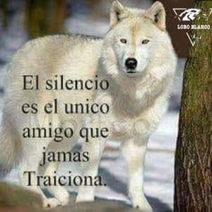 Meet your Posher, Julieta